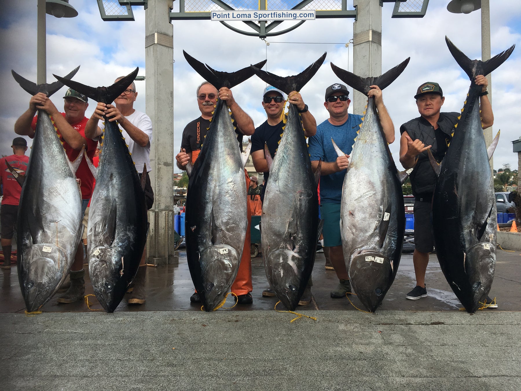 Fishing For Bluefin Tuna